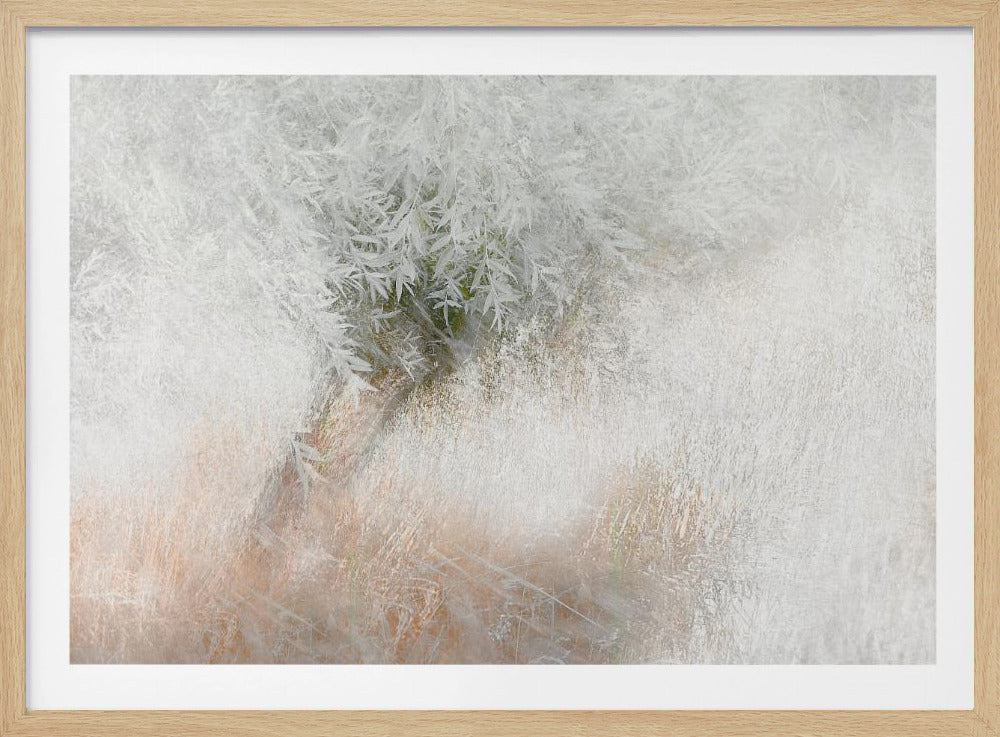 Soft and gentle | Poster