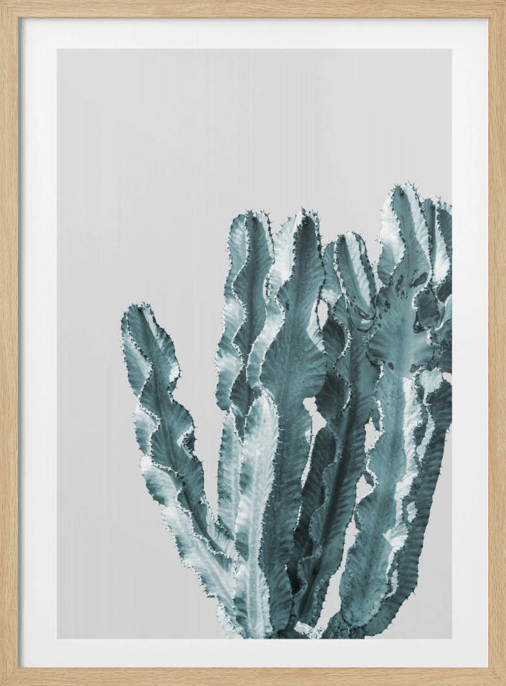 Cactus Elegance | Poster