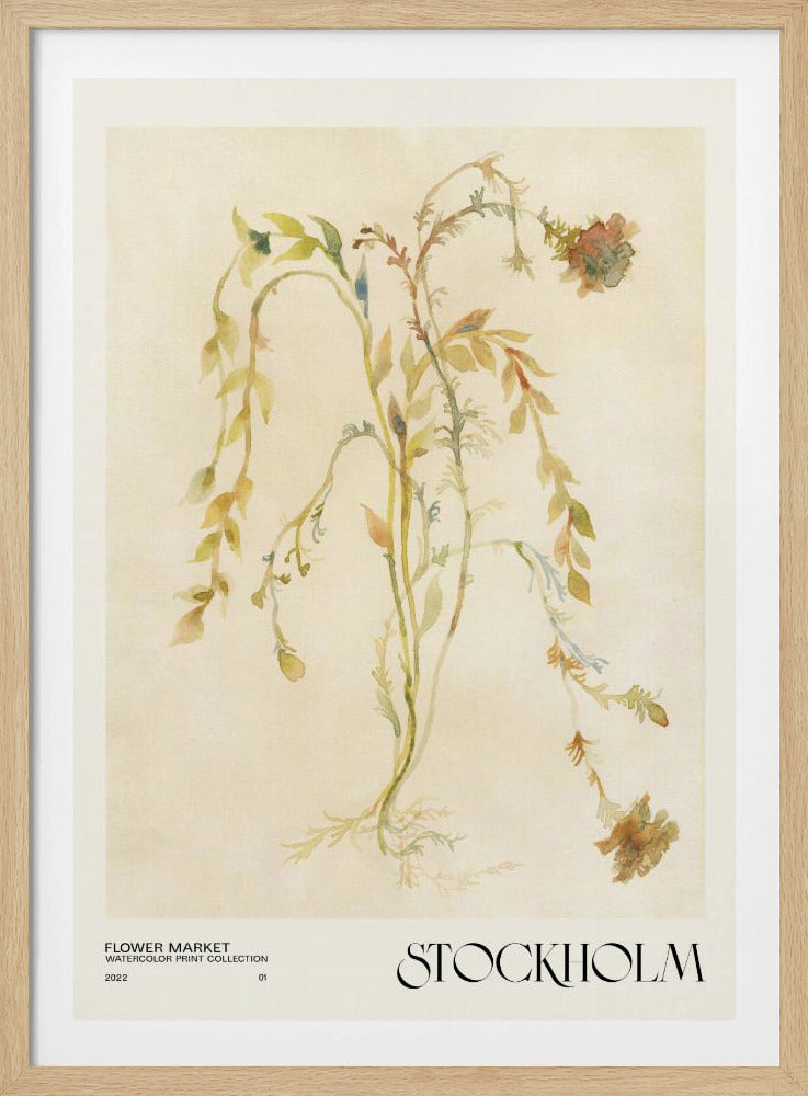 Watercolor print collection. Flower market - Stockholm | Poster
