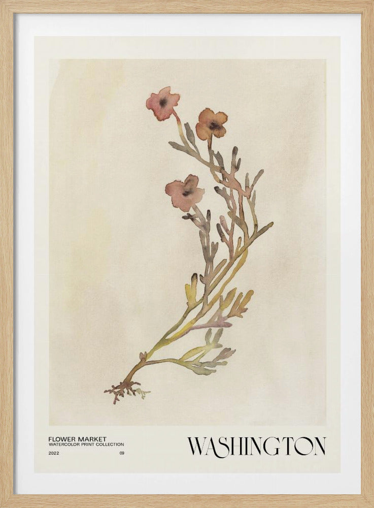 Watercolor print collection. Flower market - Washington | Poster