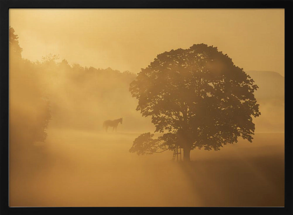 autumn morning | Poster