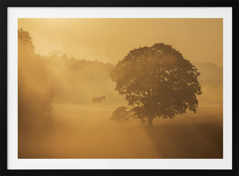 autumn morning | Poster