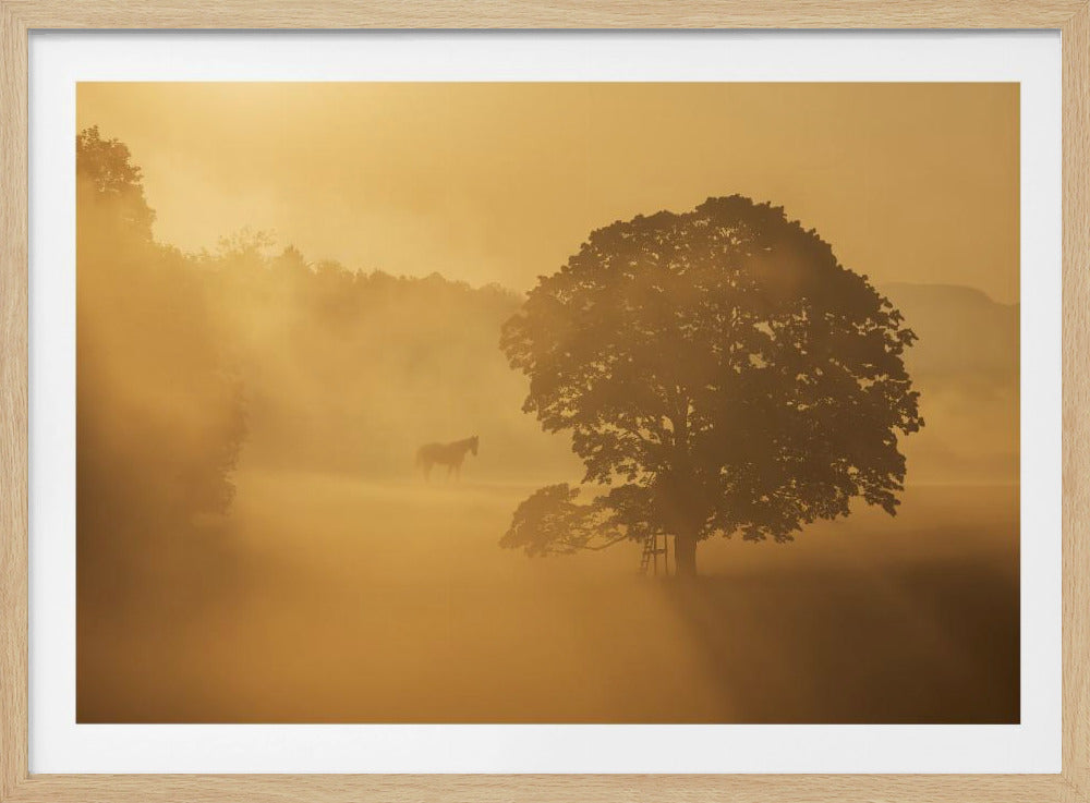 autumn morning | Poster