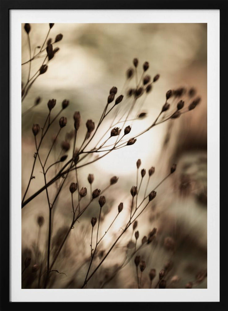 Autumn Lights | Poster