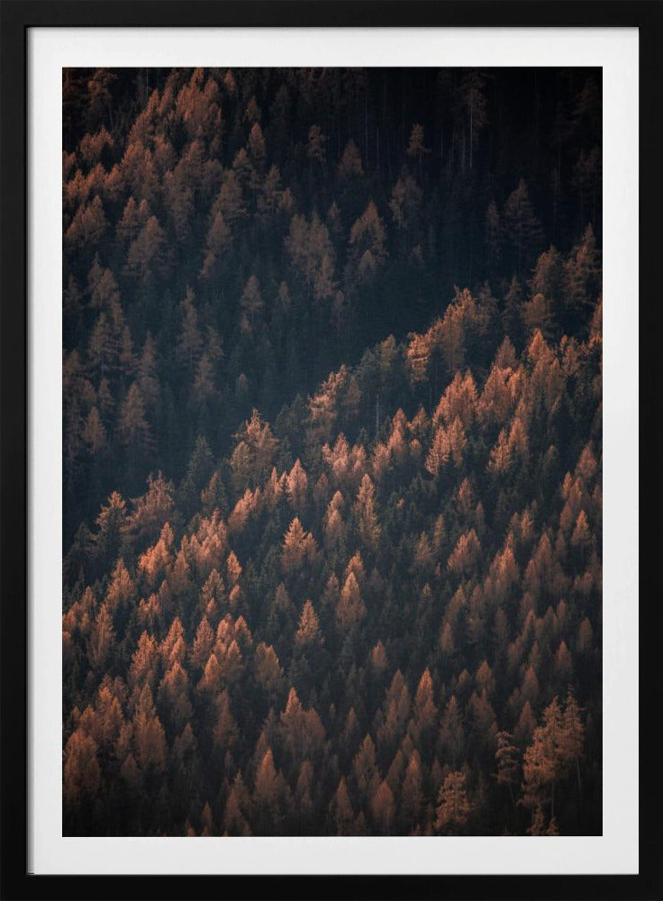 Autumn Woods 2 | Poster