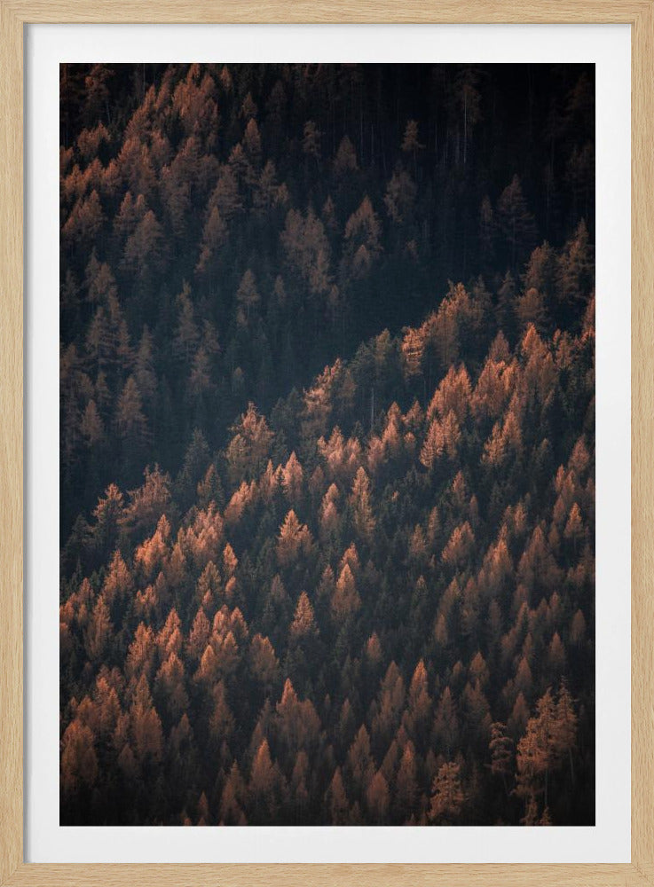 Autumn Woods 2 | Poster