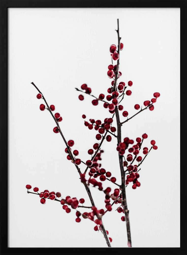 Red Berries 2 | Poster