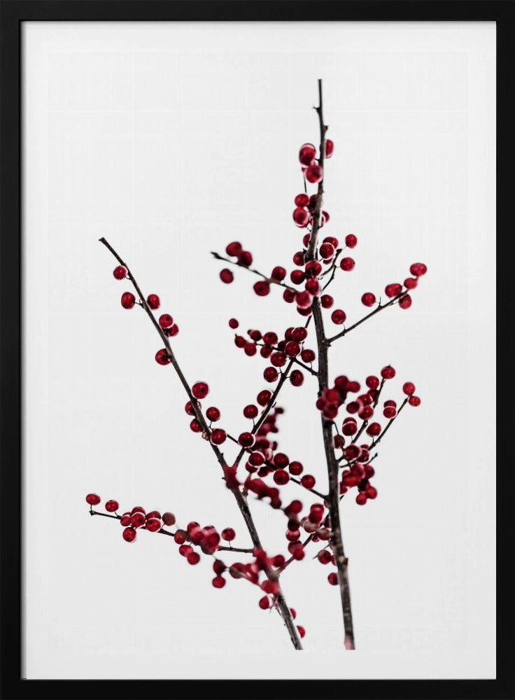 Red Berries 2 | Poster