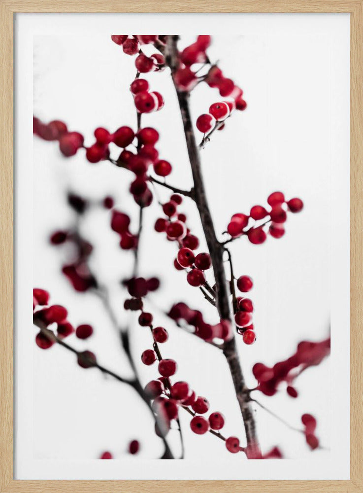 Red Berries 1 | Poster