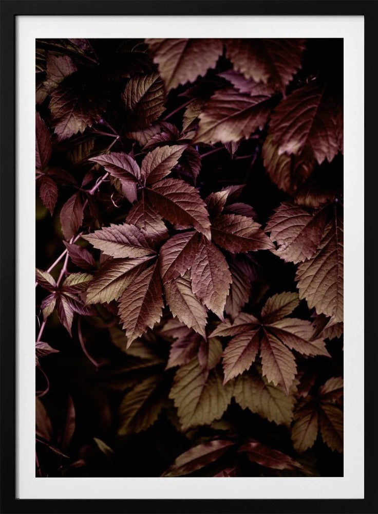 Autumn Leaves 13 | Poster