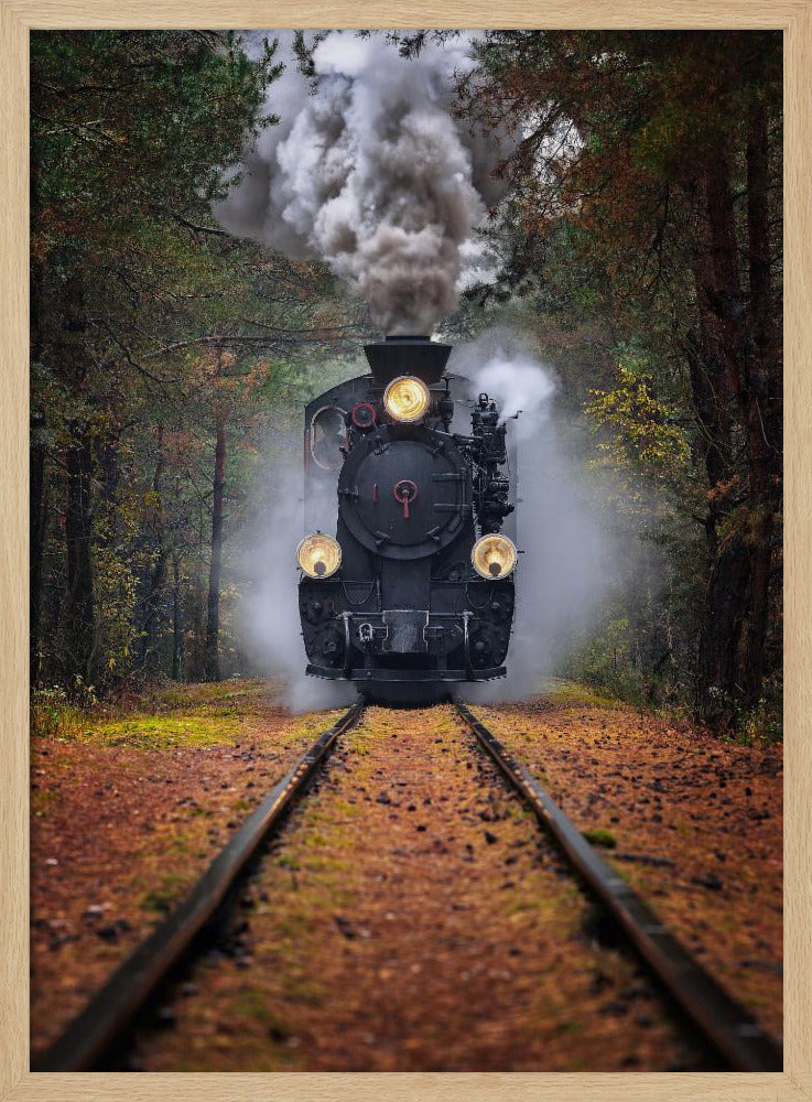 Through the autumn forest | Poster