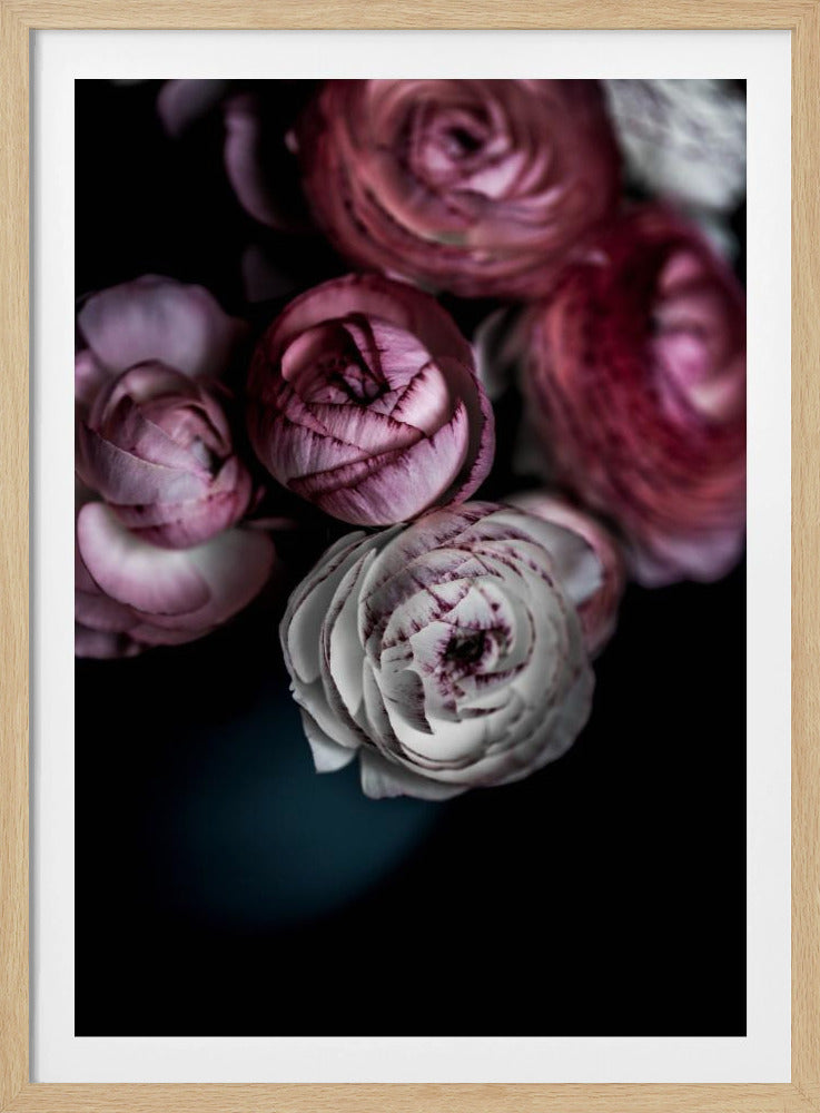 Dark Flowers 2 | Poster