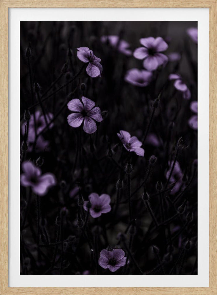 Dark Flowers 10 | Poster