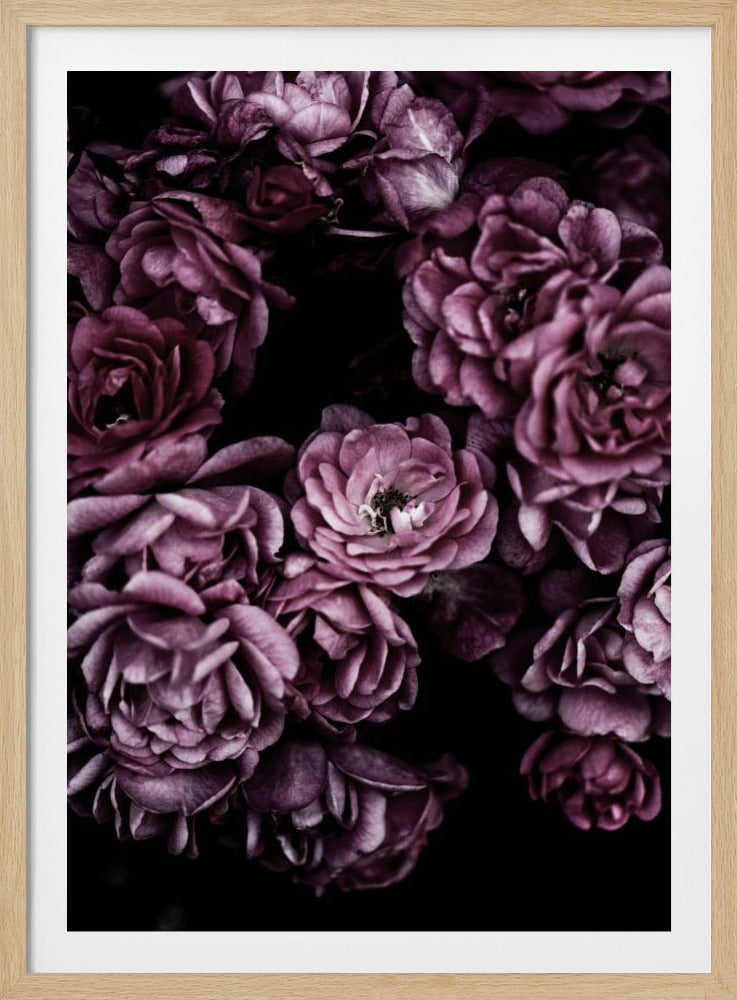 Wild Roses | Poster