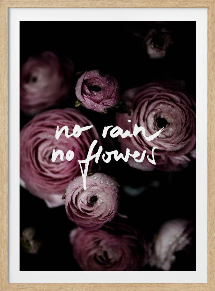 No Rain No Flowers 2 | Poster