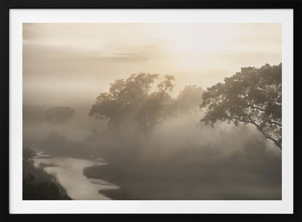 SAVANA SUNRISE | Poster