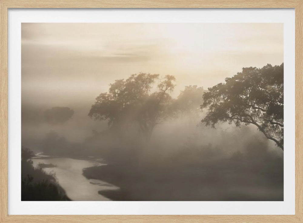 SAVANA SUNRISE | Poster