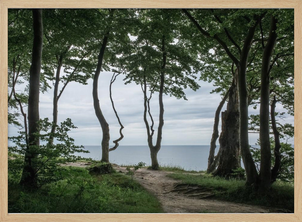 Forest At the Sea 2 | Poster