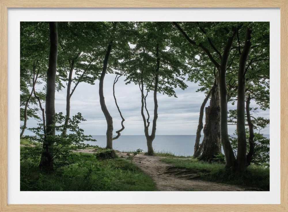 Forest At the Sea 2 | Poster