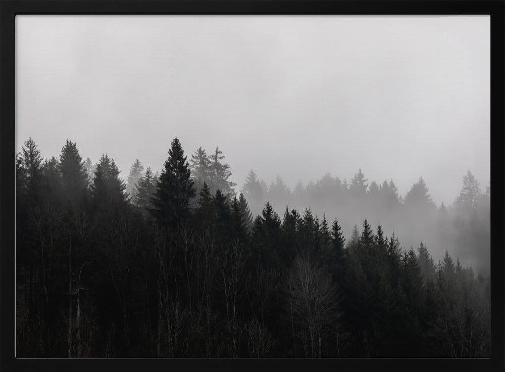 Foggy Woods 7 | Poster