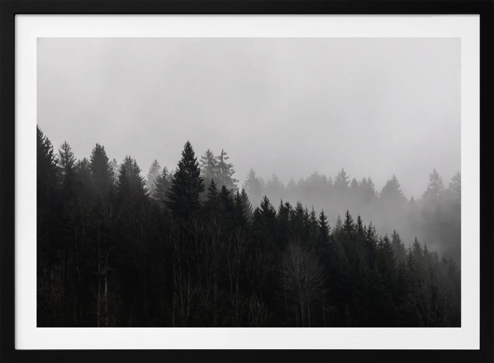 Foggy Woods 7 | Poster