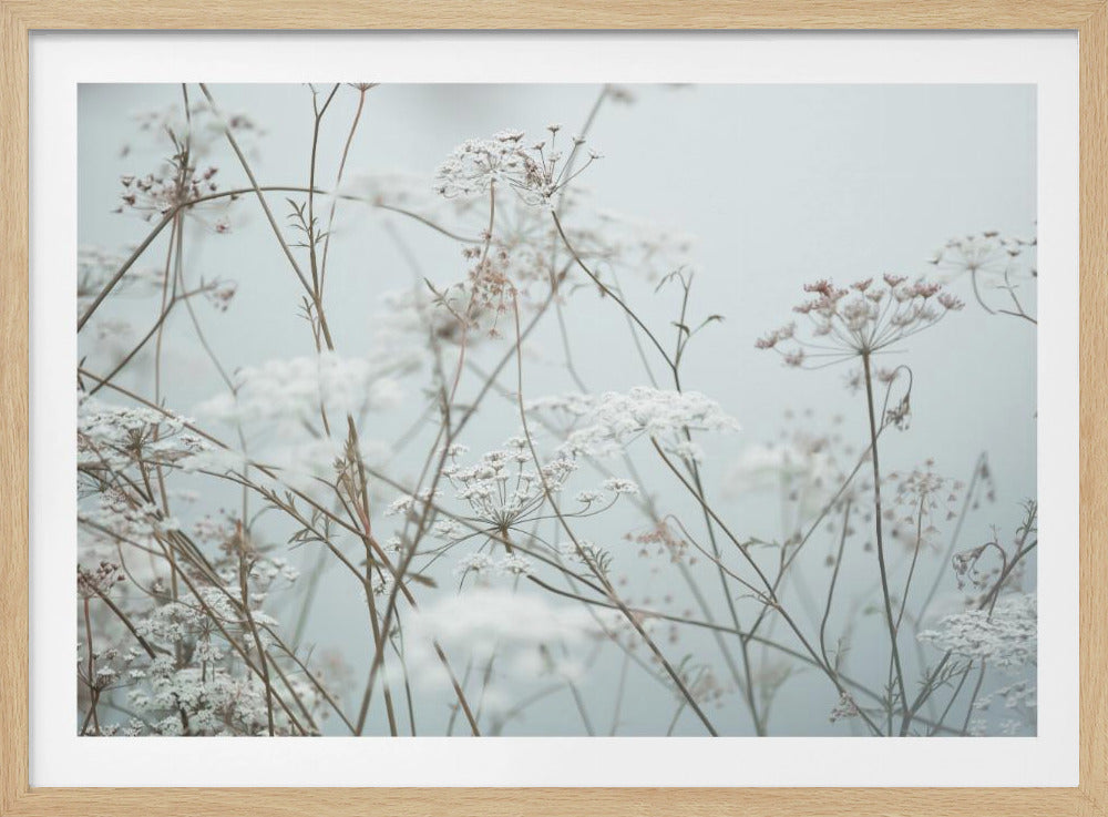 Summer Moments 12 | Poster