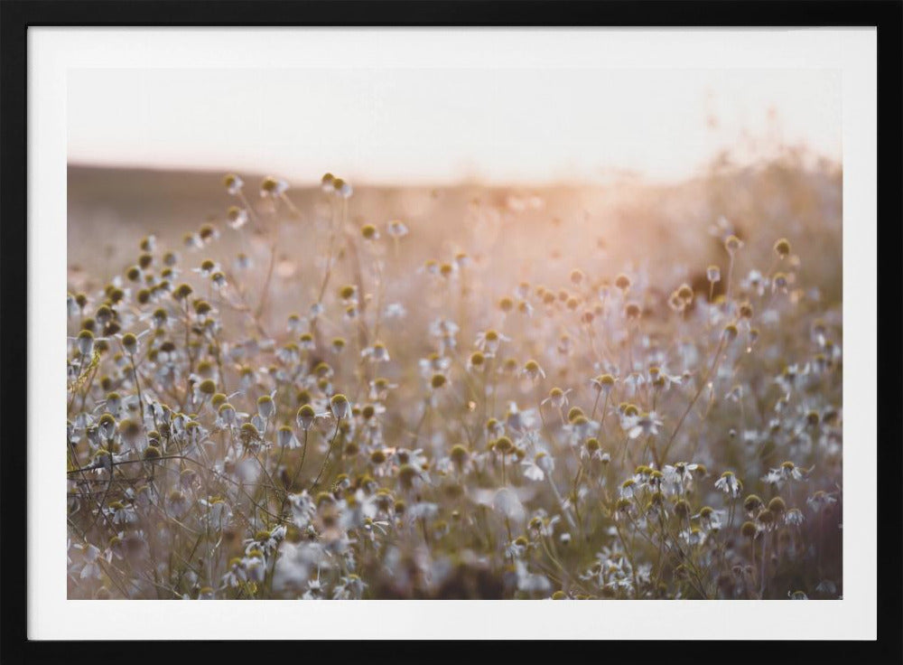 Summer Morning 7 | Poster