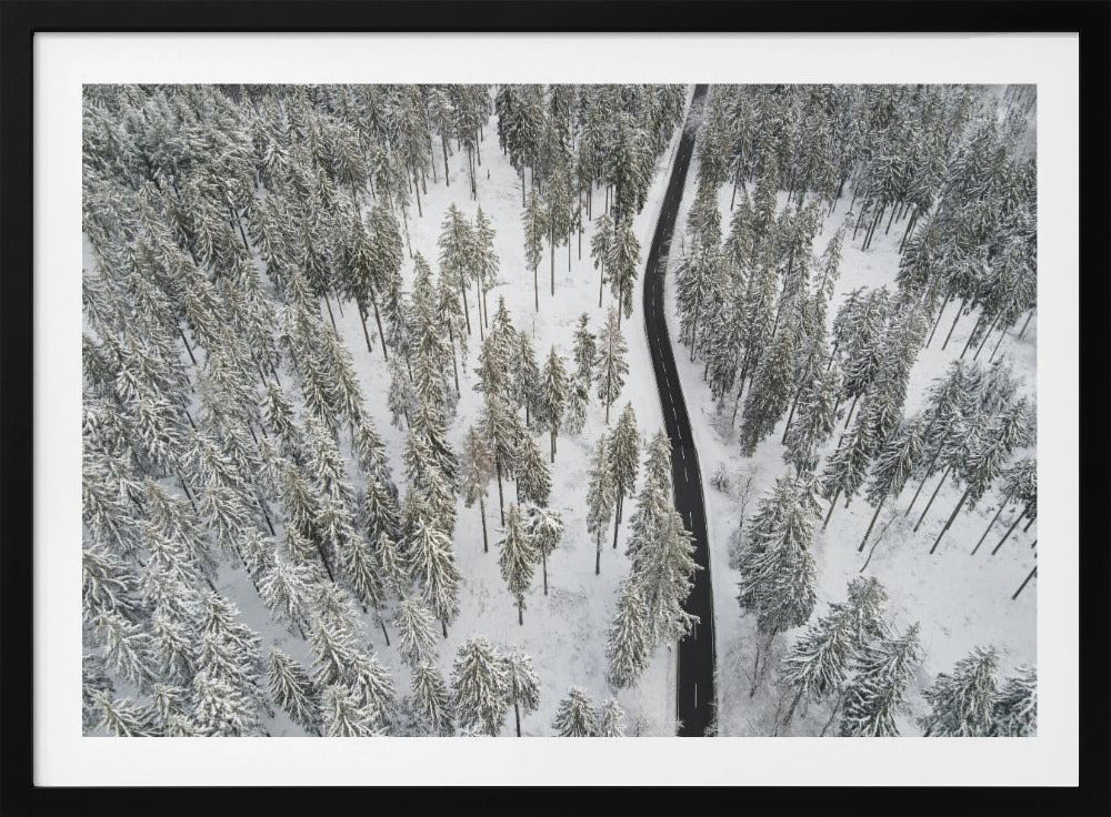 Snow Covered Trees 5 | Poster