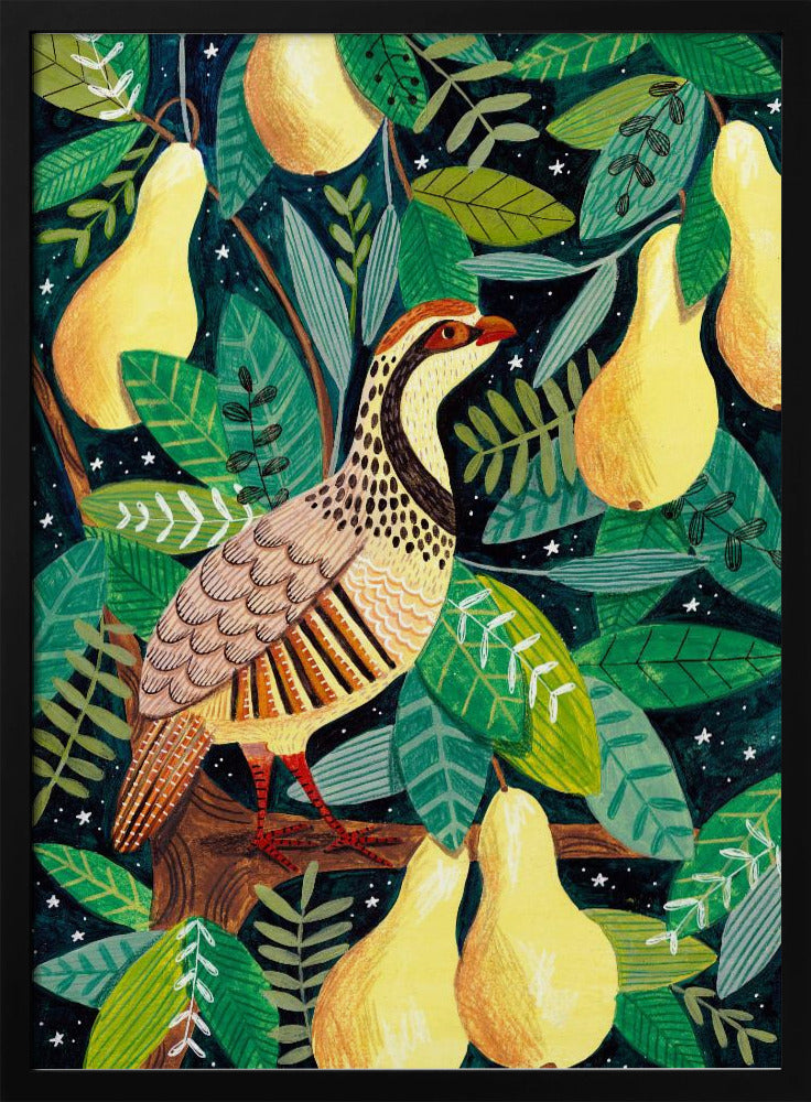 Partridge in a pear tree | Poster