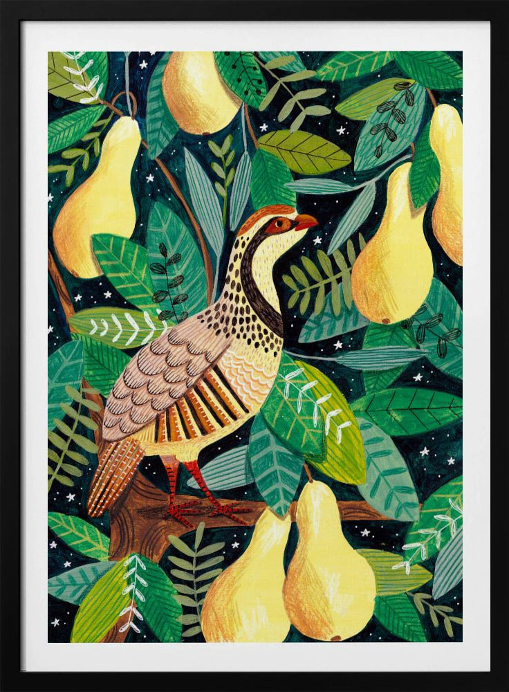 Partridge in a pear tree | Poster