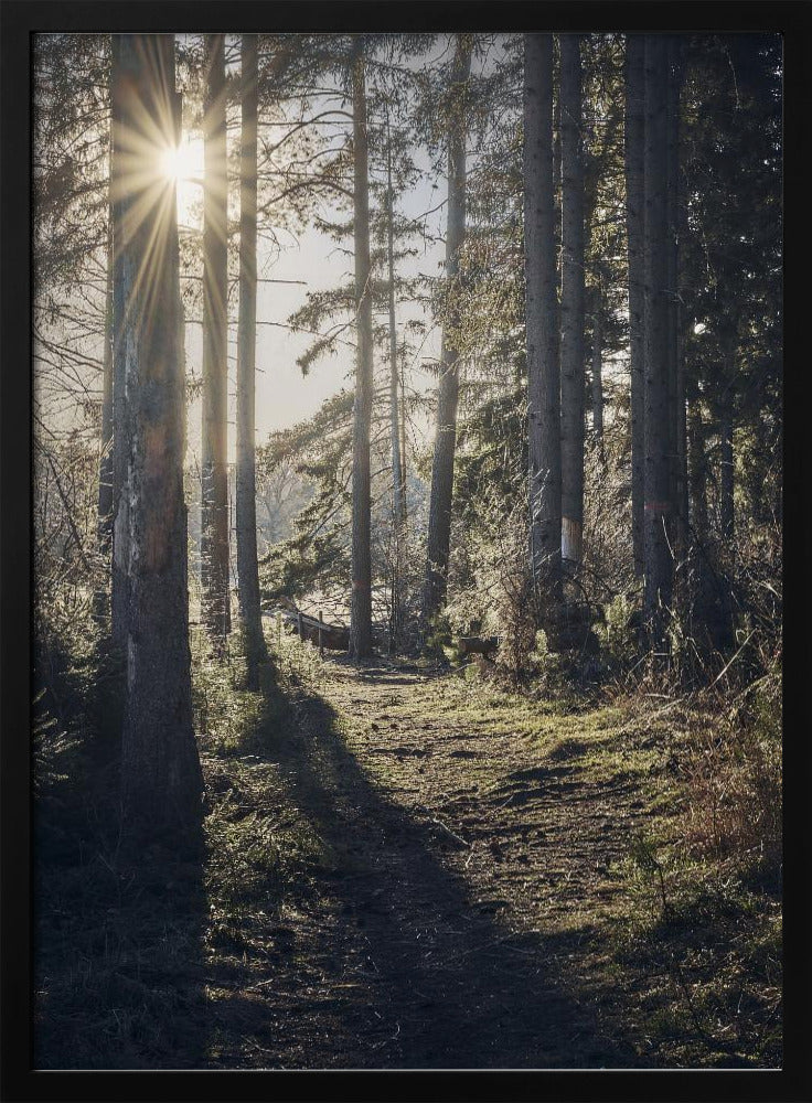 Dsf2913 Hdr 1 | Poster