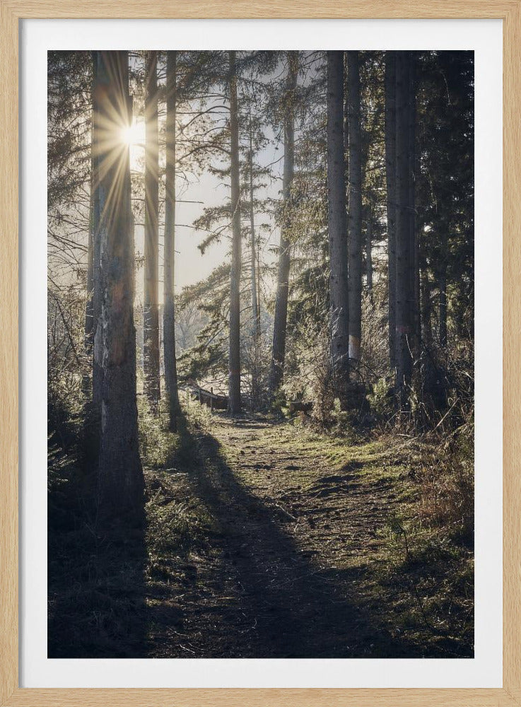 Dsf2913 Hdr 1 | Poster