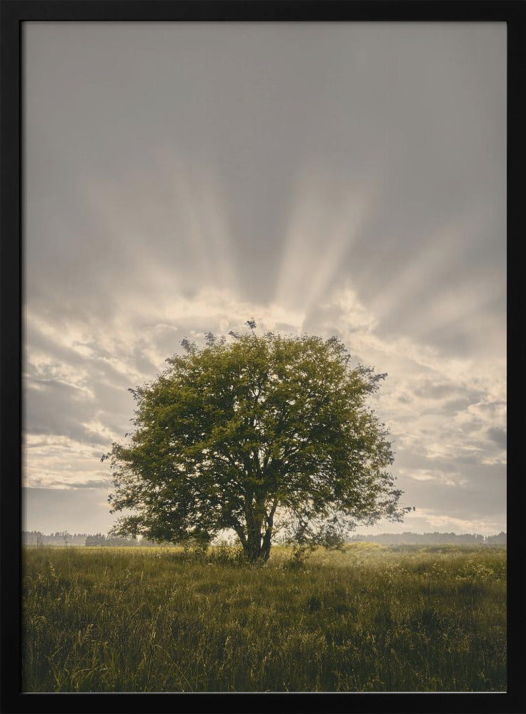 20220616 Dsf4394 | Poster