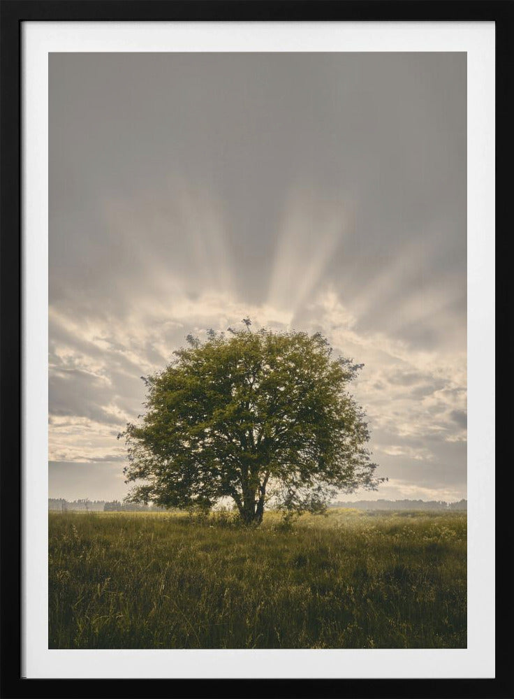 20220616 Dsf4394 | Poster