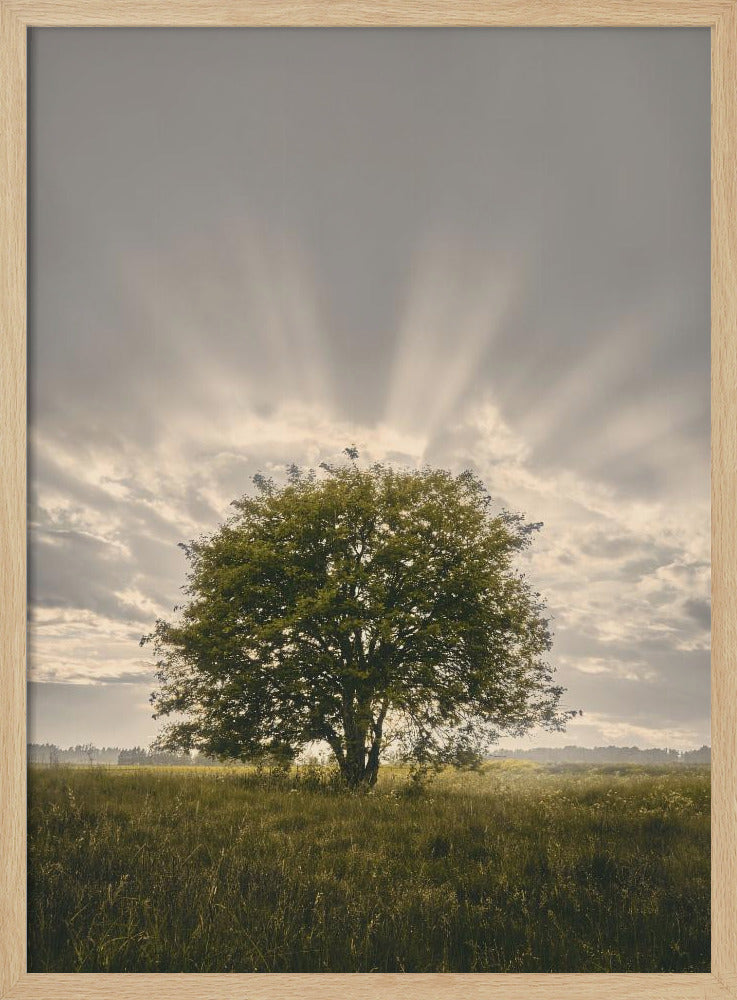 20220616 Dsf4394 | Poster