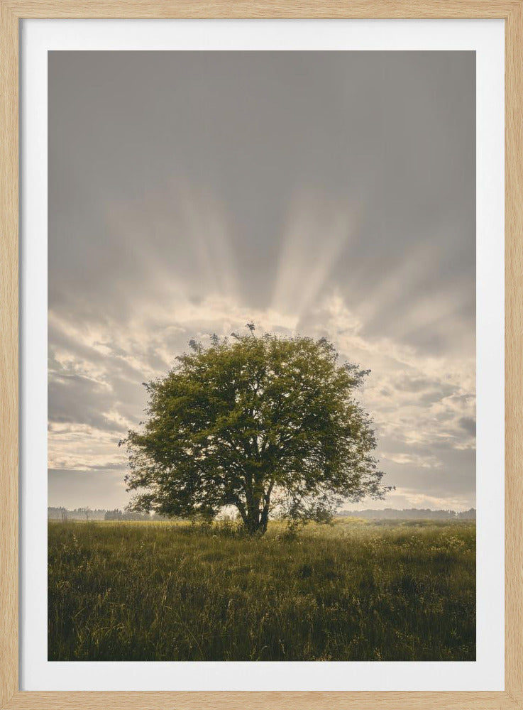 20220616 Dsf4394 | Poster