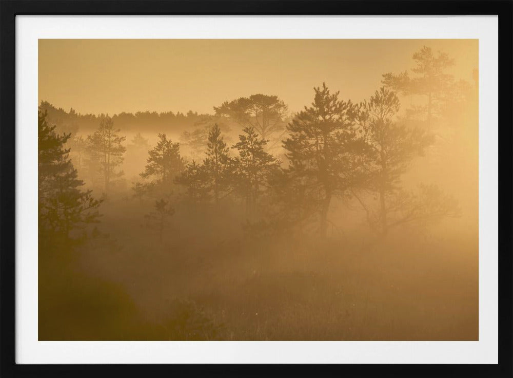 20220809 Dsf8002 1 | Poster