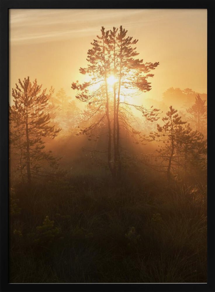 20220809 Dsf8009 Hdr 1 | Poster