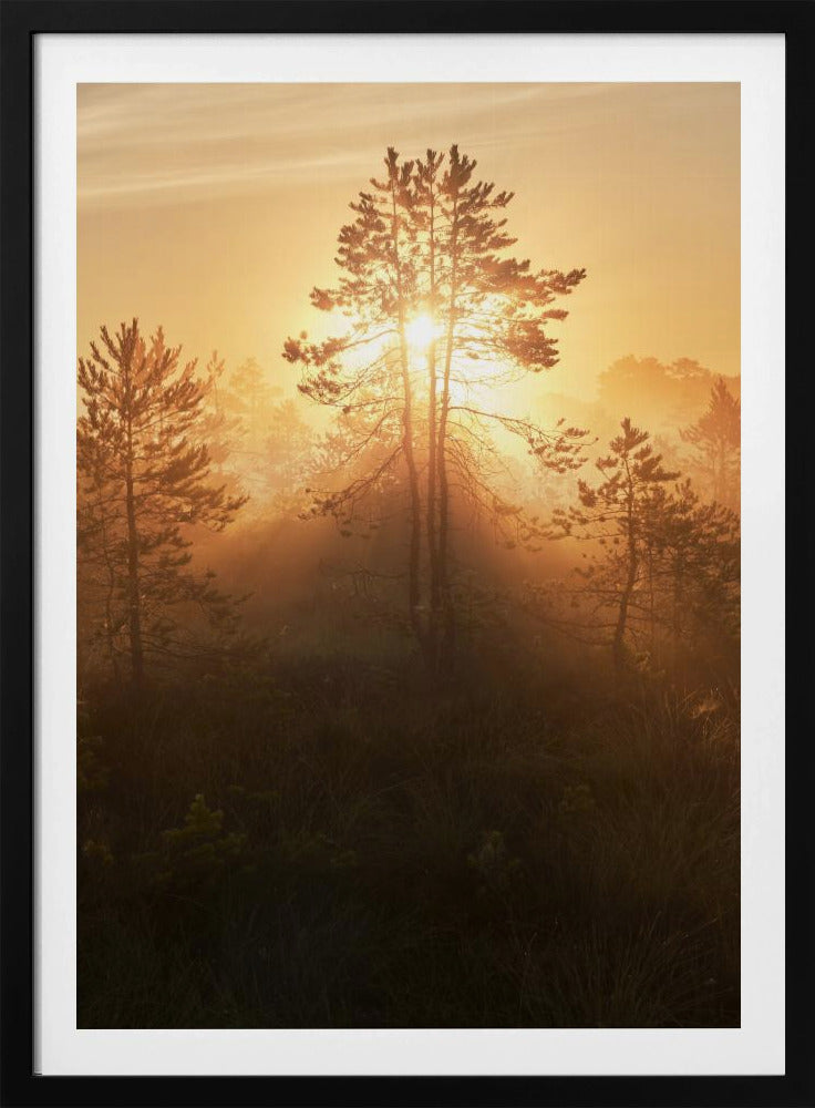 20220809 Dsf8009 Hdr 1 | Poster