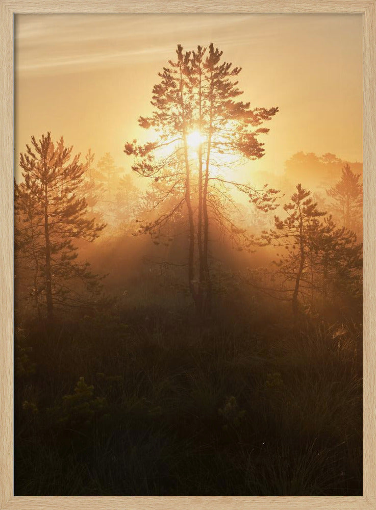 20220809 Dsf8009 Hdr 1 | Poster