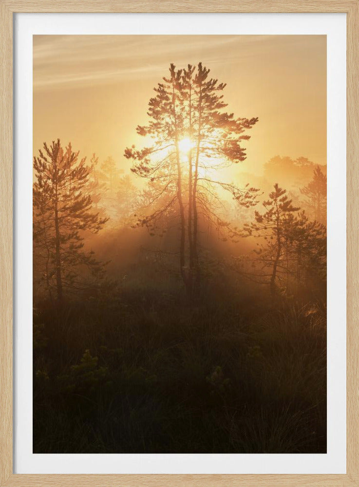 20220809 Dsf8009 Hdr 1 | Poster