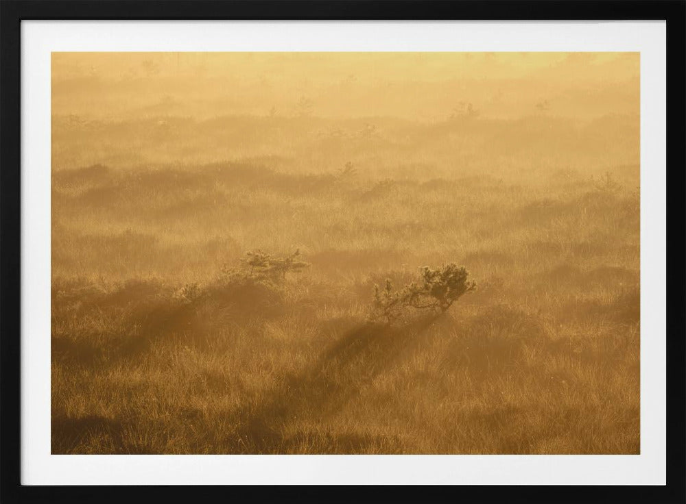 20220809 Dsf8027 1 | Poster