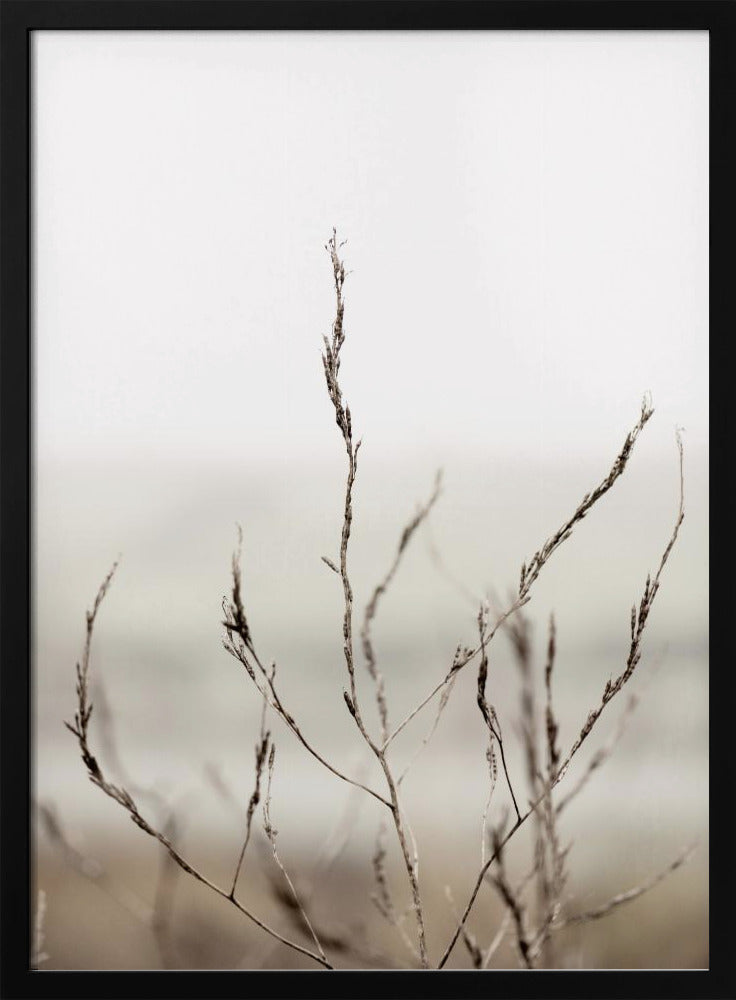 Pickleweed No.1 | Poster