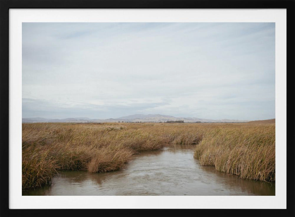 Marshland No.1 | Poster