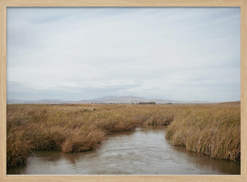Marshland No.1 | Poster