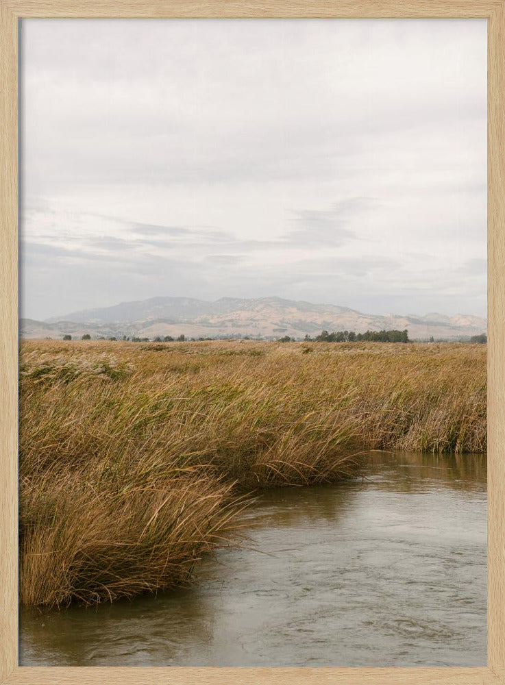 Marshland No.2 | Poster