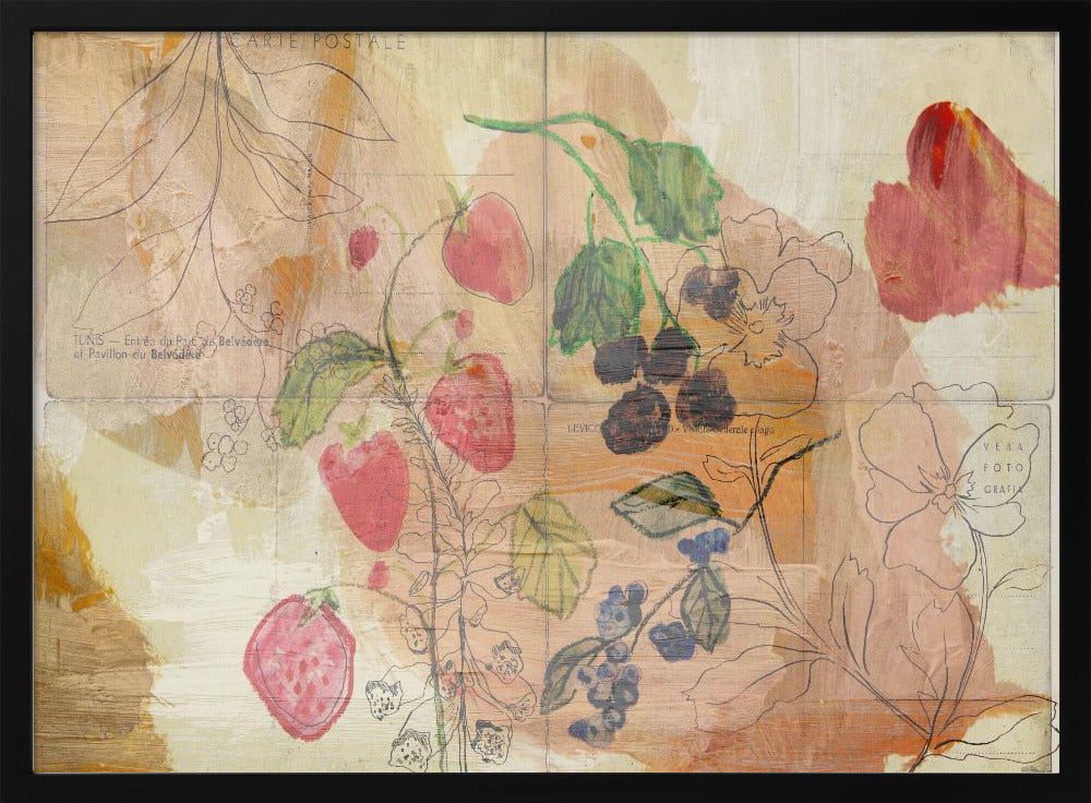 Fruit Postcards | Poster