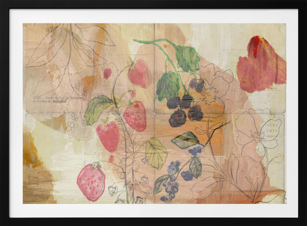 Fruit Postcards | Poster