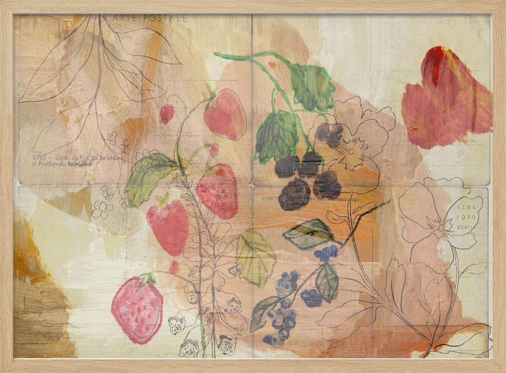 Fruit Postcards | Poster