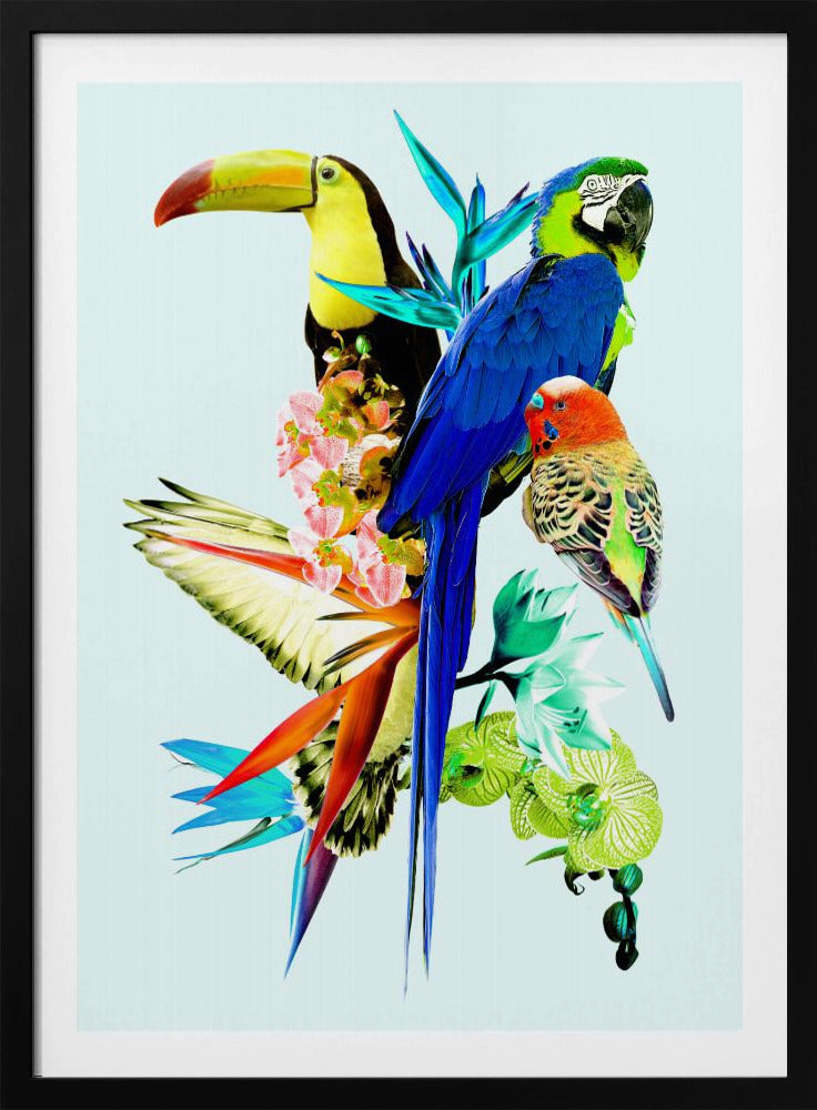 Birds of Paradise II | Poster